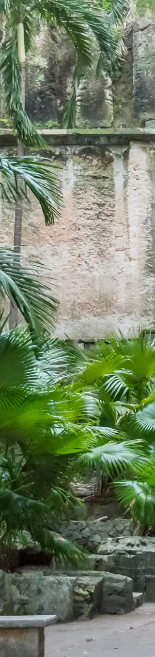 Erklimme das historische Queen’s Staircase in Nassau